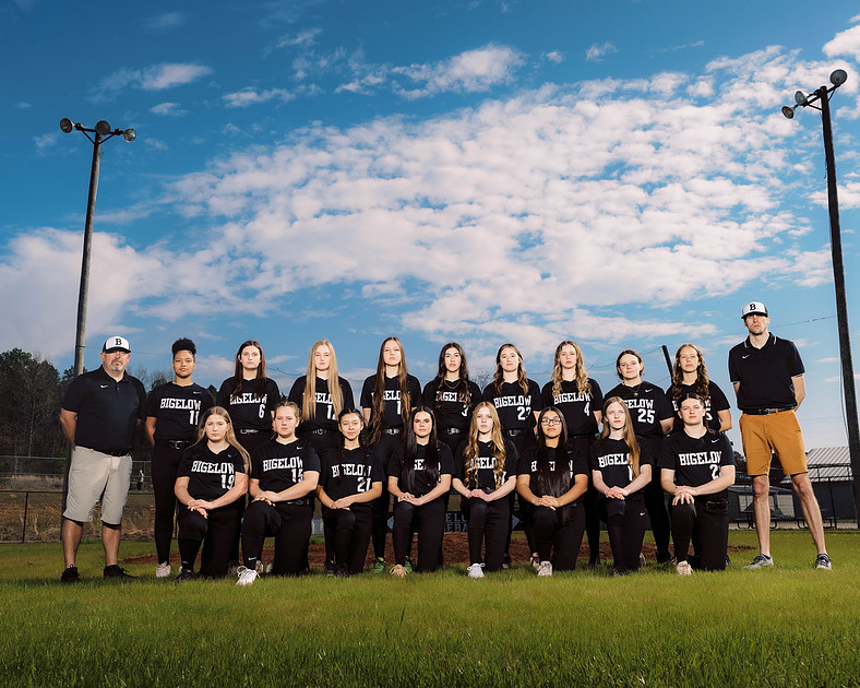 Sterling Imageworks Bigelow baseball & Softball 23