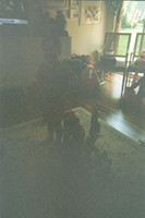 84268 Jaison Sterling