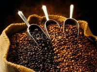 ideas 17