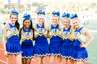 NLR v McClellan 2016