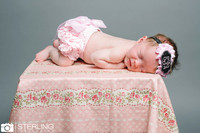 Pizan Family For Internet