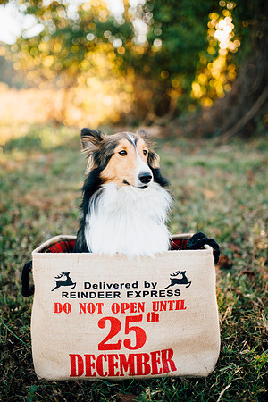 View More: http://bmpphotography.pass.us/sterlings