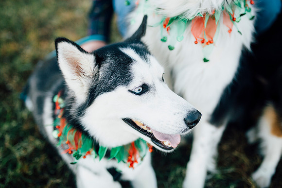 View More: http://bmpphotography.pass.us/sterlings