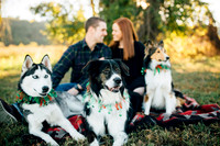 View More: http://bmpphotography.pass.us/sterlings