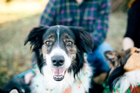 View More: http://bmpphotography.pass.us/sterlings