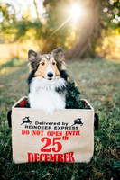 View More: http://bmpphotography.pass.us/sterlings