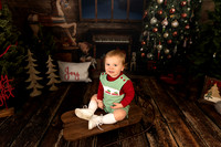 Elias Christmas Mini 2020 - Leslie Amy
